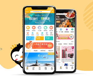 红河哈尼族彝族自治州APP软件定制开发预约电商系统带领您走向数字化未来【大甩卖，狂欢来袭！】
