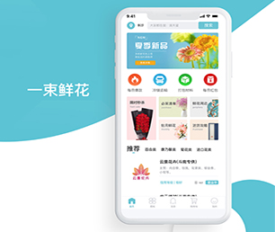 红河哈尼族彝族自治州苹果APP定制社群电商系统让我们携手创建更美好的数字世界!【限时优惠，立即抢购】